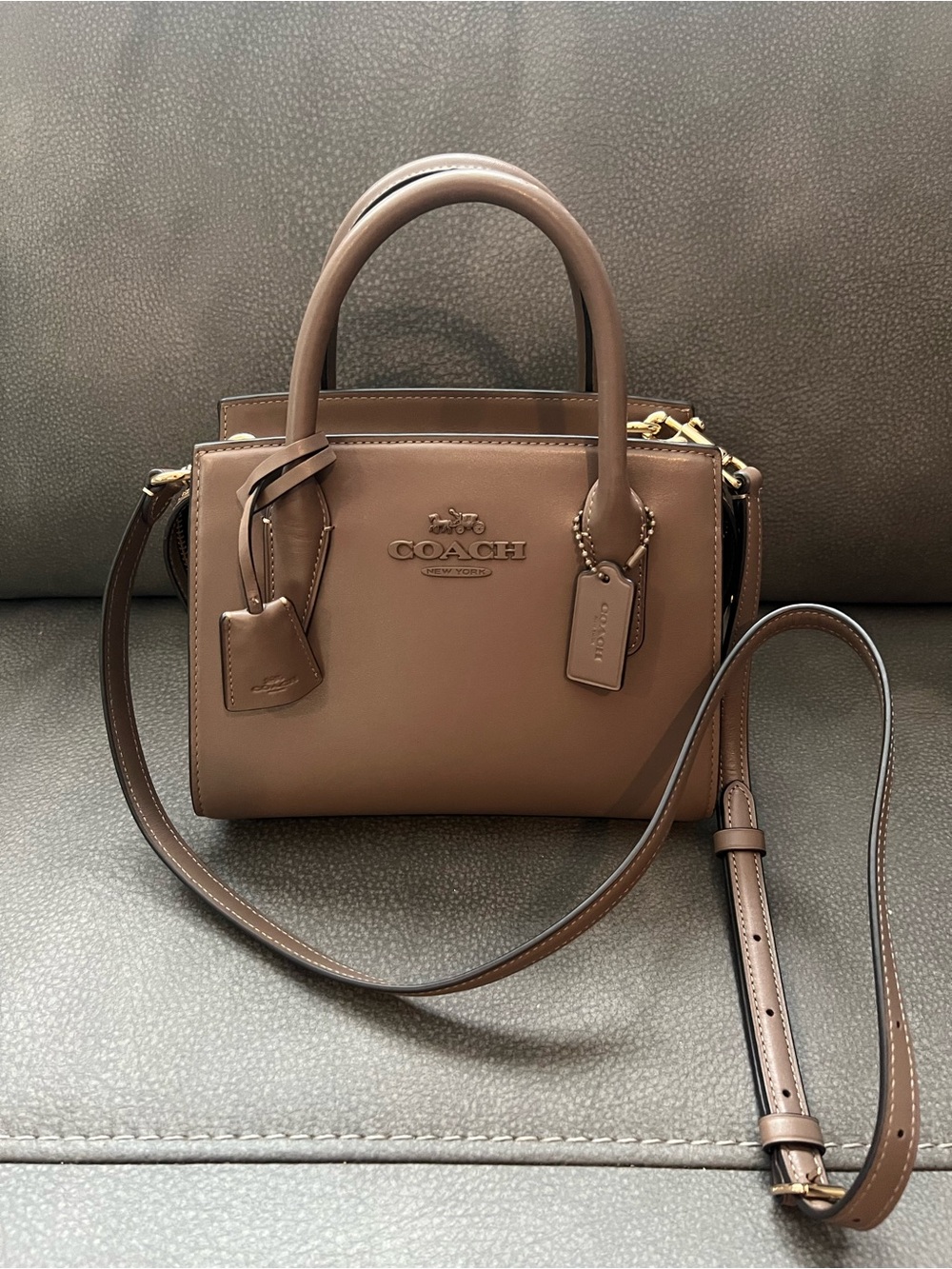 Coach Andrea Carryall Handbag in Dark Stone